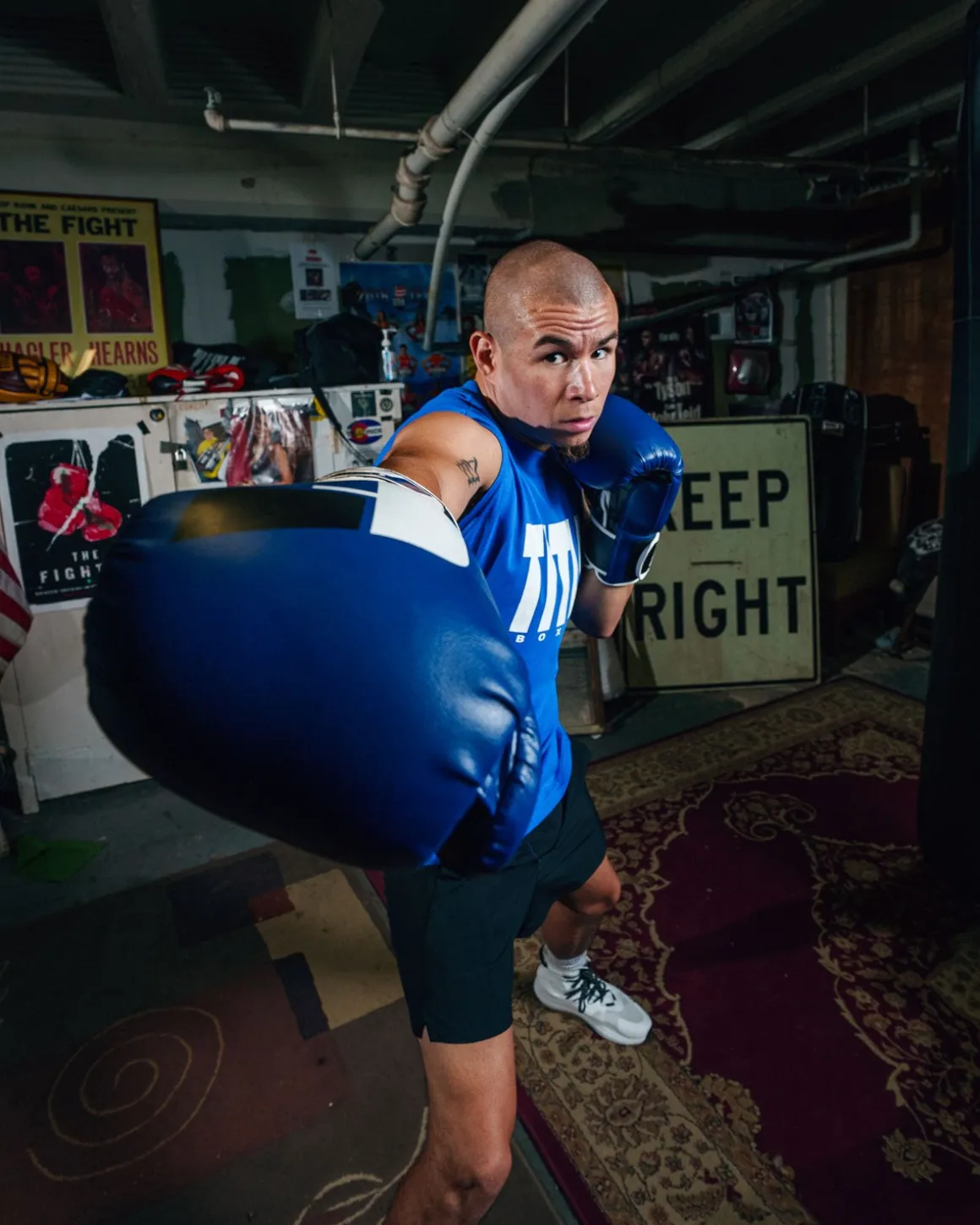 Fighting Big Logo Bag Boxing Gloves