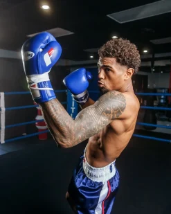 Fighting Fearless Certified Pro Fight Boxing Gloves II