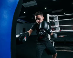Fighting Sports Fury Professional Lace Training Gloves