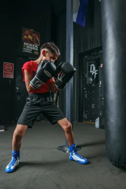 Fighting Sports Fury Professional Training Gloves