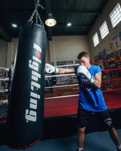 Fighting Sports Fury Professional Training Gloves