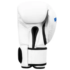 Fighting Sports Fury Professional Training Gloves