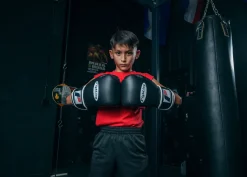 Fighting Sports Fury Professional Training Gloves