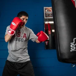 Fighting Sports Fury Professional Training Gloves