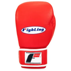 Fighting Sports Fury Professional Training Gloves