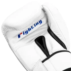 Fighting Sports Fury Professional Training Gloves