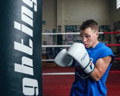 Fighting Sports Fury Professional Training Gloves