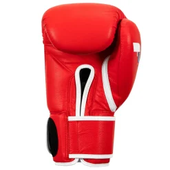 Fighting Sports Fury Professional Training Gloves