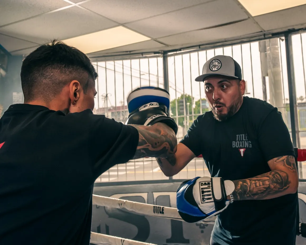 Flurry Pro Punch Mitts