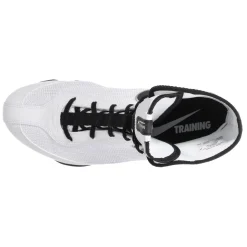 Nike Boxing Shoes Machomai 2