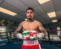 Pro Mex Combatiente Pro Fight Boxing Gloves