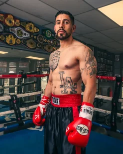 Pro Mex Combatiente Pro Fight Boxing Gloves