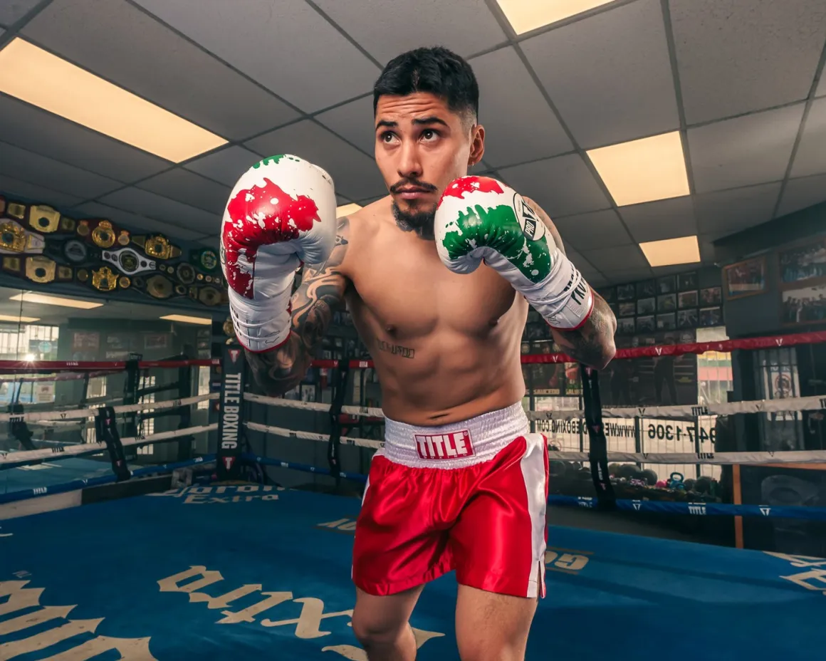 Pro Mex Combatiente Pro Fight Boxing Gloves