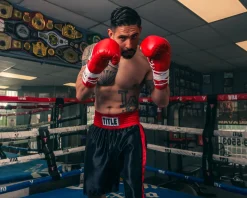 Pro Mex Combatiente Pro Fight Boxing Gloves
