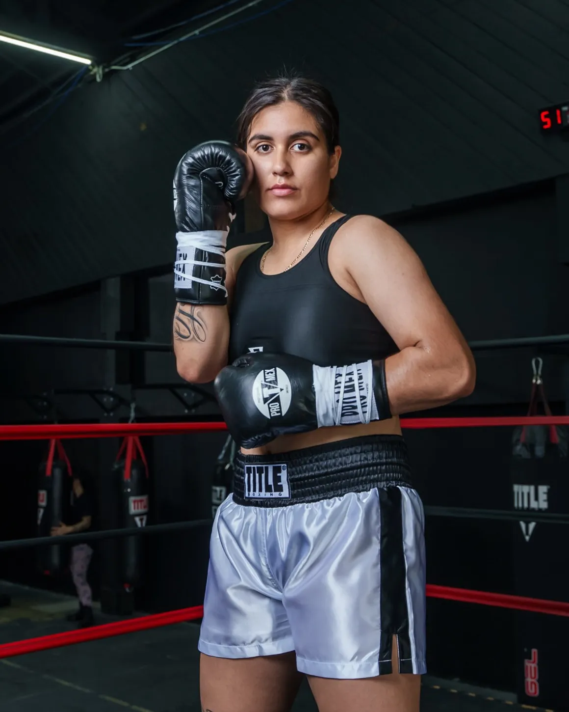 Pro Mex Combatiente Pro Fight Boxing Gloves