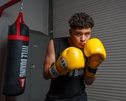 Pro Mex Professional Bag Boxing Gloves V3.0