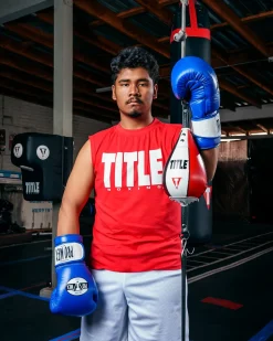 Pro Mex Professional Bag Boxing Gloves V3.0