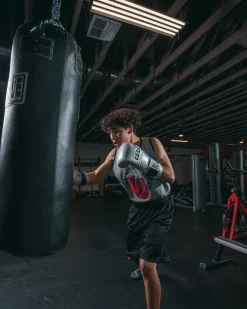 Pro Mex Professional Bag Boxing Gloves V3.0