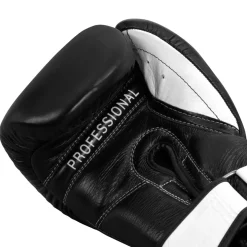 Pro Mex Professional Bag Boxing Gloves V3.0