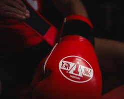 Pro Mex Professional Edge Training Boxing Gloves