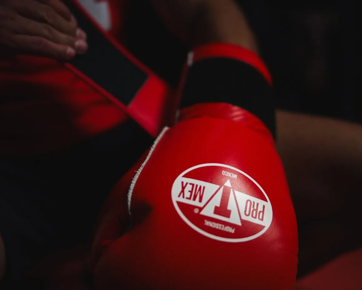 Pro Mex Professional Edge Training Boxing Gloves