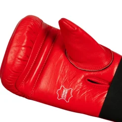 Pro Mex Professional Heavy Bag Boxing Gloves
