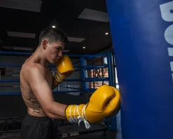 Pro Mex Professional Lace Sparring Boxing Gloves V3.0