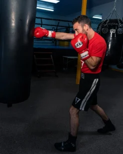 Pro Mex Professional Lace Sparring Boxing Gloves V3.0