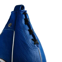 Pro Mex Professional Speed Bag V2.0