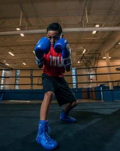 Pro Mex Professional Training Boxing Gloves 3.0