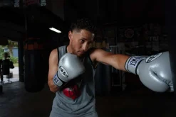 Pro Mex Professional Training Boxing Gloves 3.0
