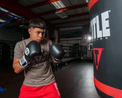 Pro Mex Professional Training Boxing Gloves 3.0
