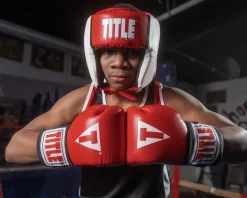 TITLE Aerovent Elite USA Boxing Competition Headgear – Open Face