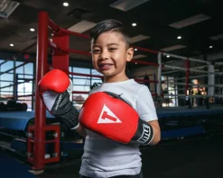 TITLE Aerovent Youth Boxing Gloves