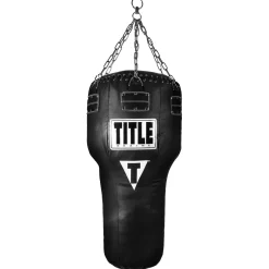TITLE Big Bang Heavy Bag