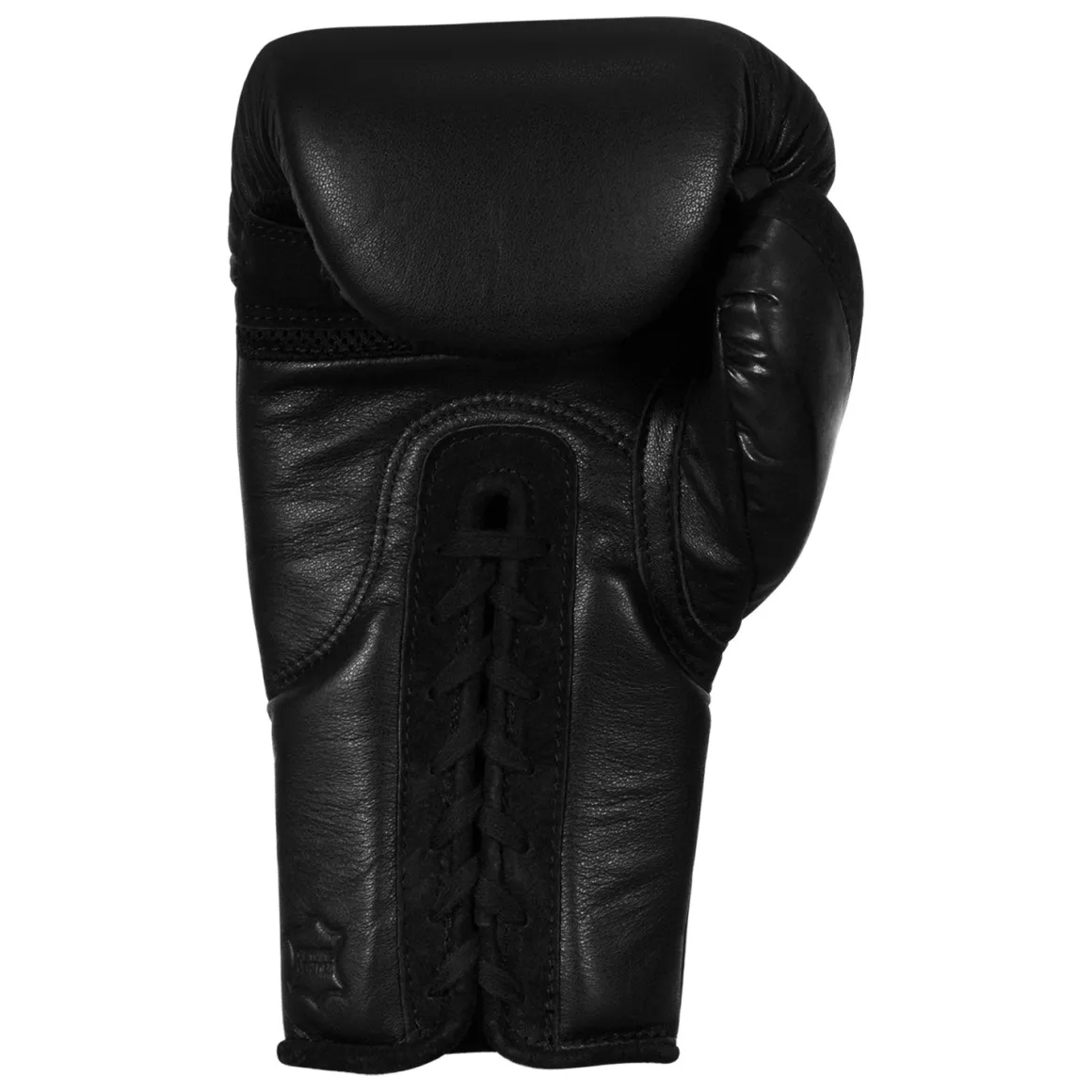 TITLE BLACK Lace Sparring Gloves 2.0