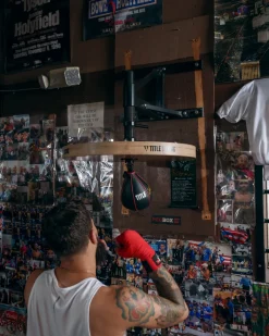 TITLE Boxing Adjustable Speed Bag Platform
