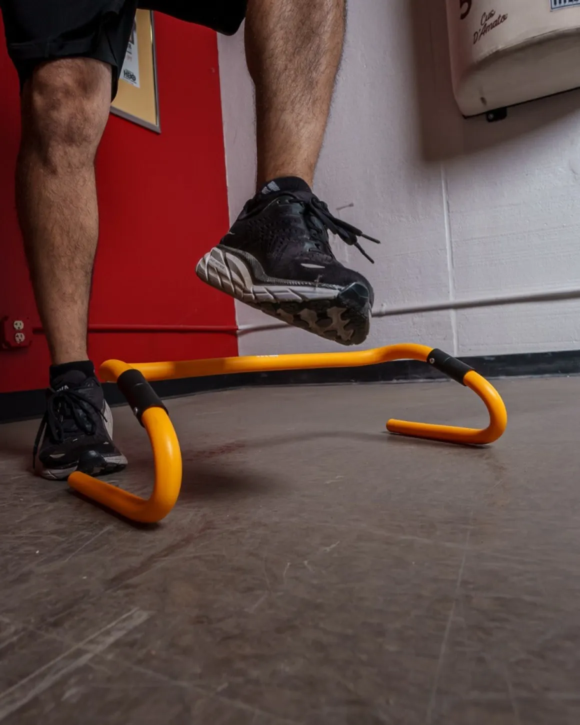 TITLE Boxing Adjustable Speed & Agility Hurdle 2.0