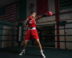 TITLE Boxing Aerovent Elite Amateur Boxing Set 1 v. 2.0