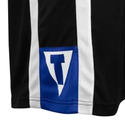 TITLE Boxing Aerovent Elite Amateur Boxing Set 4 v. 2.0