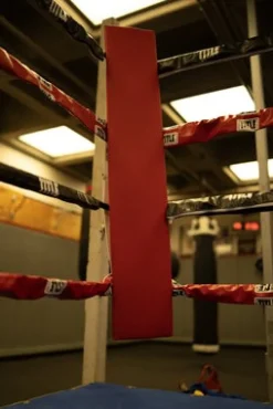 TITLE Boxing Blank Pro Corner Cushion V3.0 - Single