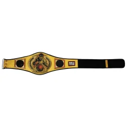TITLE Boxing Championship Belt