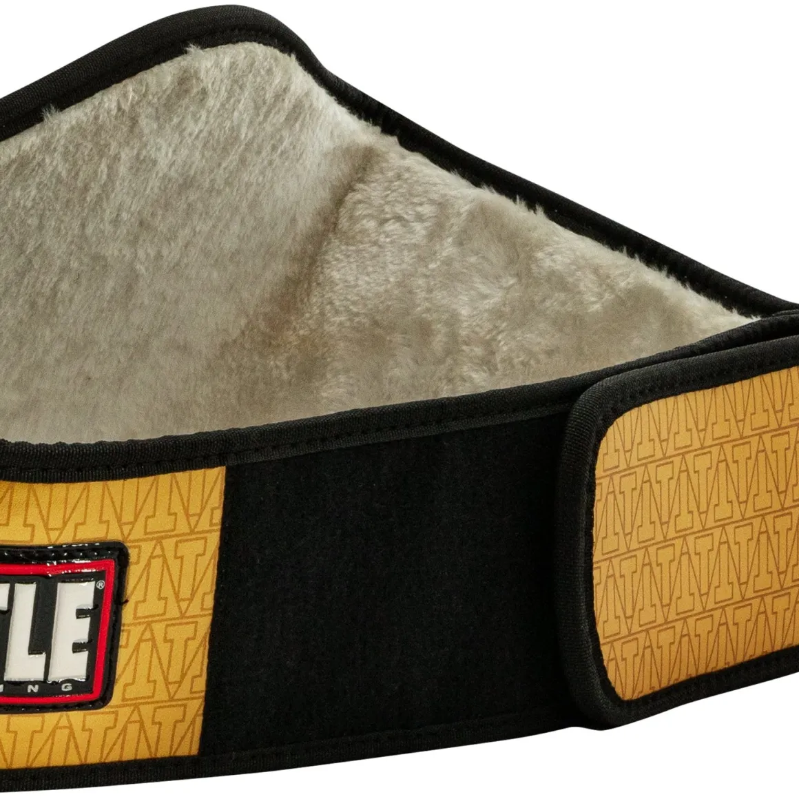 TITLE Boxing Championship Belt