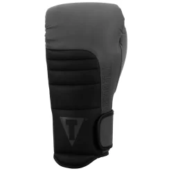 TITLE Boxing Combat Bag Boxing Gloves 2.0