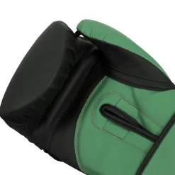 TITLE Boxing Conquest Training Boxing Gloves