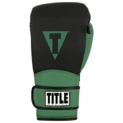 TITLE Boxing Conquest Training Boxing Gloves