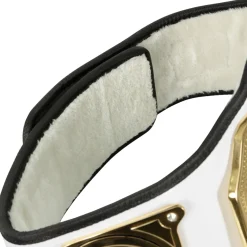TITLE Boxing Crown Jewel Championship Belt