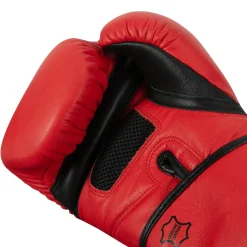 TITLE Boxing Dauntless Training Boxing Gloves