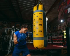 TITLE Boxing Dauntless Training Boxing Gloves