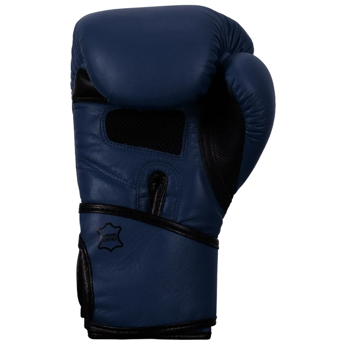 TITLE Boxing Dauntless Training Boxing Gloves